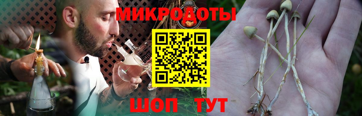 Галлюциногенные грибы прущие грибы Котельники